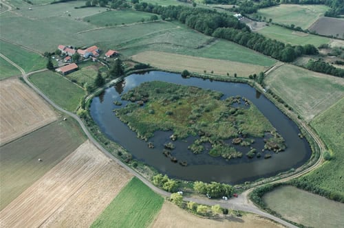 etang de la plaine - Tourisme